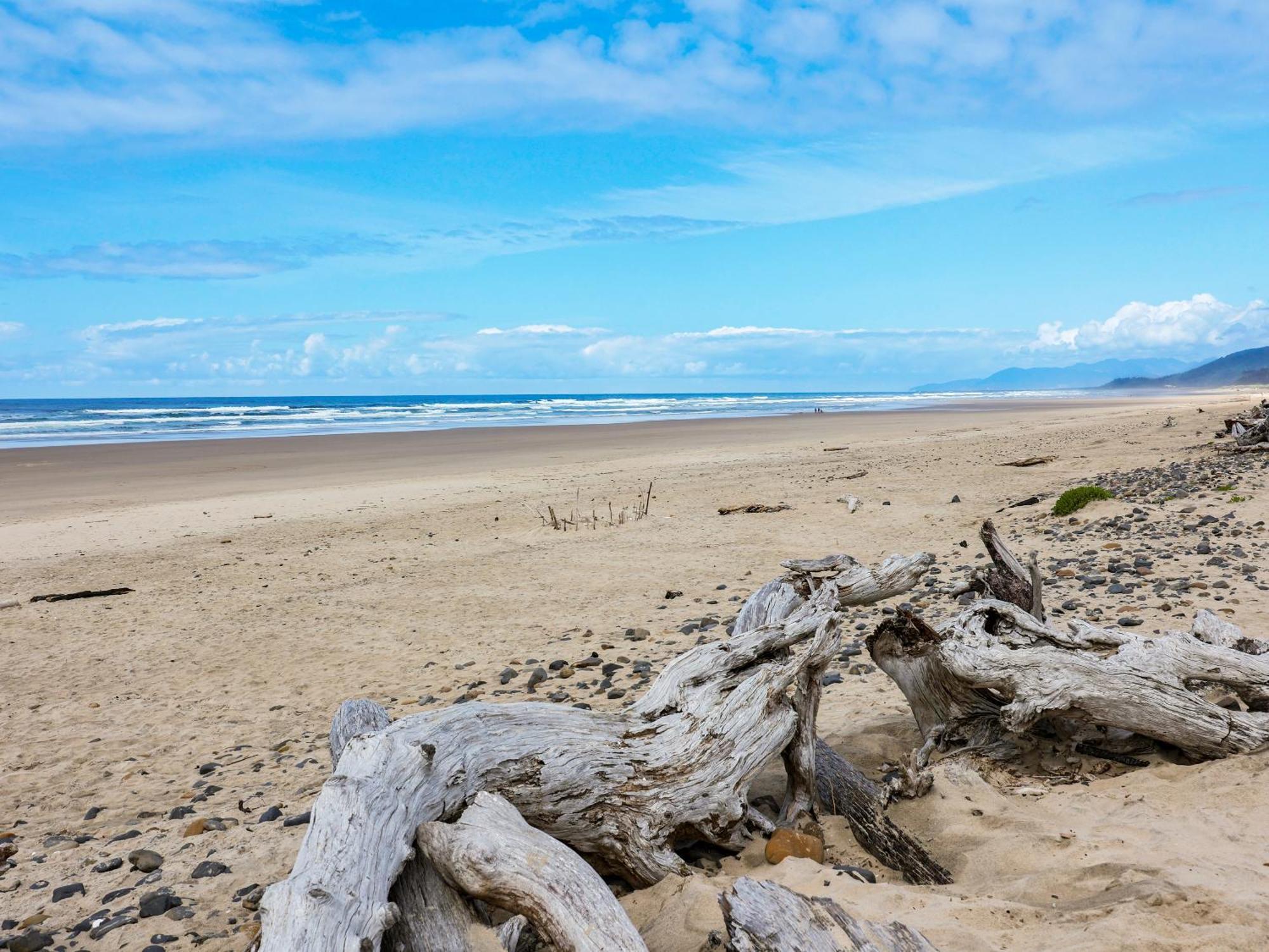 Woods Waves: Luxury Coast Cabin King Beds Pets Tillamook Buitenkant foto