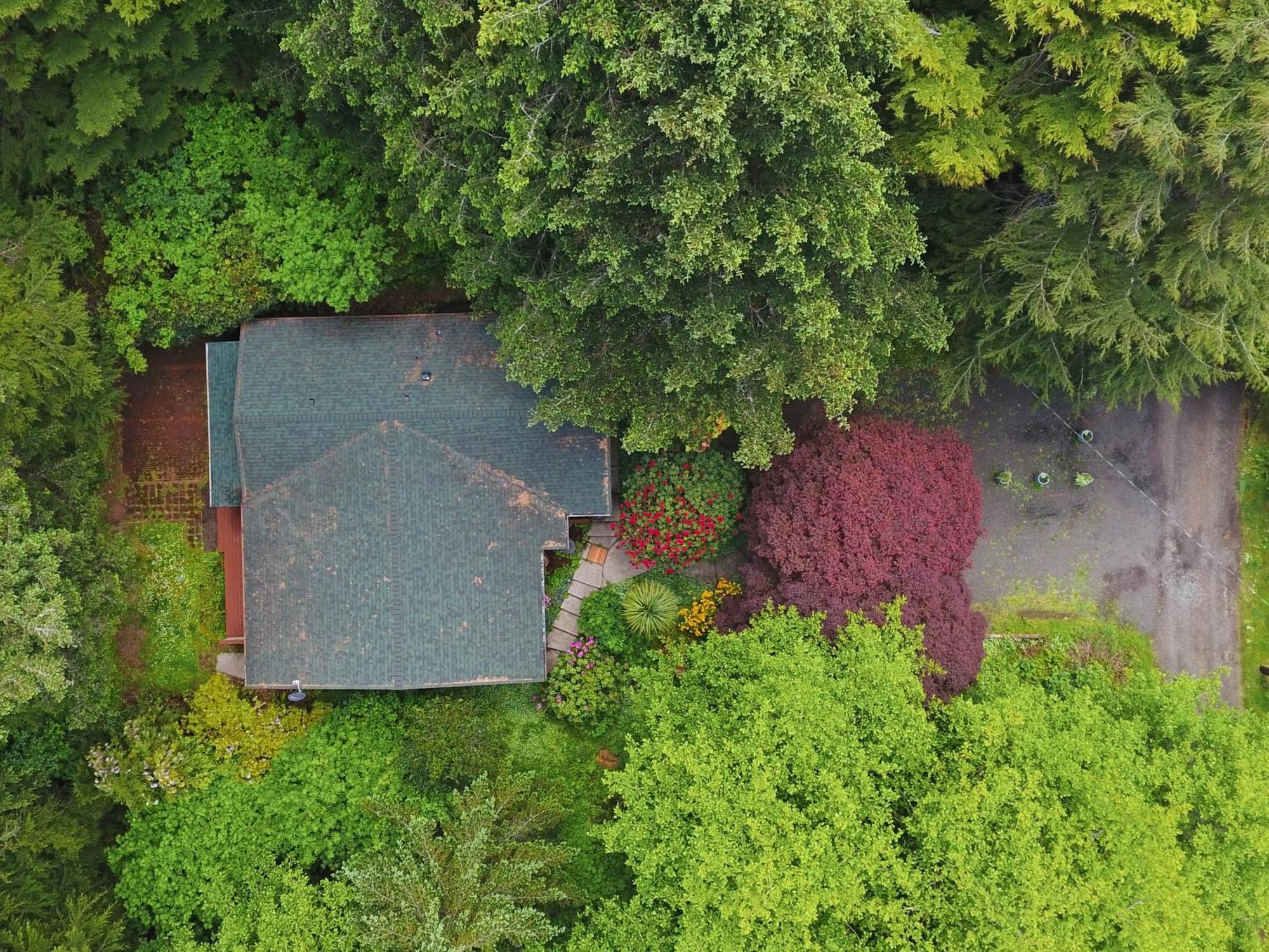 Woods Waves: Luxury Coast Cabin King Beds Pets Tillamook Buitenkant foto